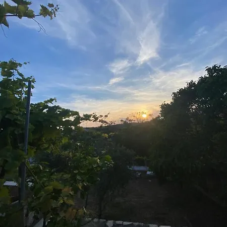 Comfort * Limenaria (Thasos)